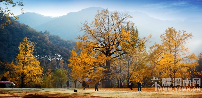161146xzohgg8lclpmwrwx.jpg