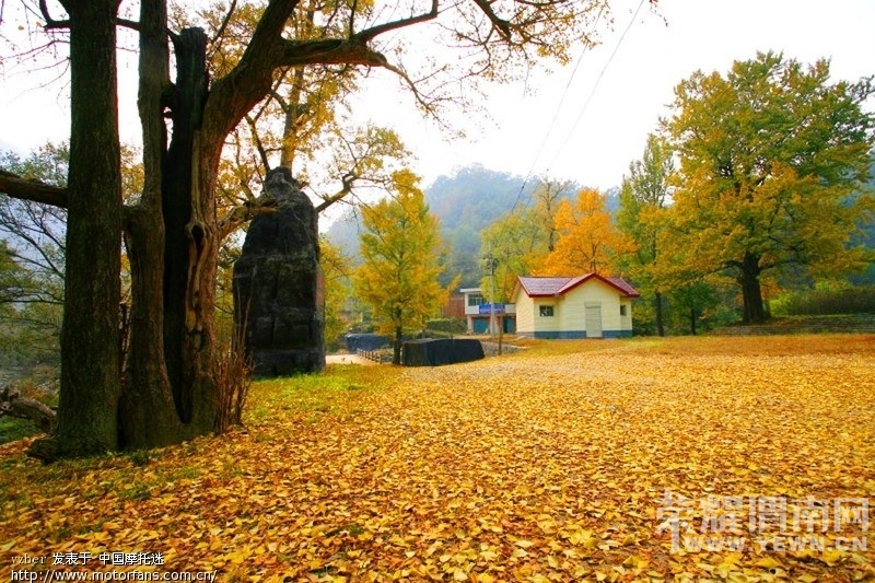 161210v9djyryf8h2bqq33.jpg