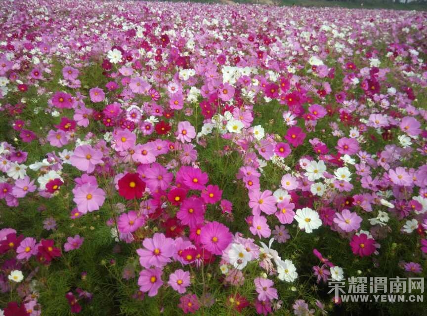 webwxgetmsgimg (1).jpg