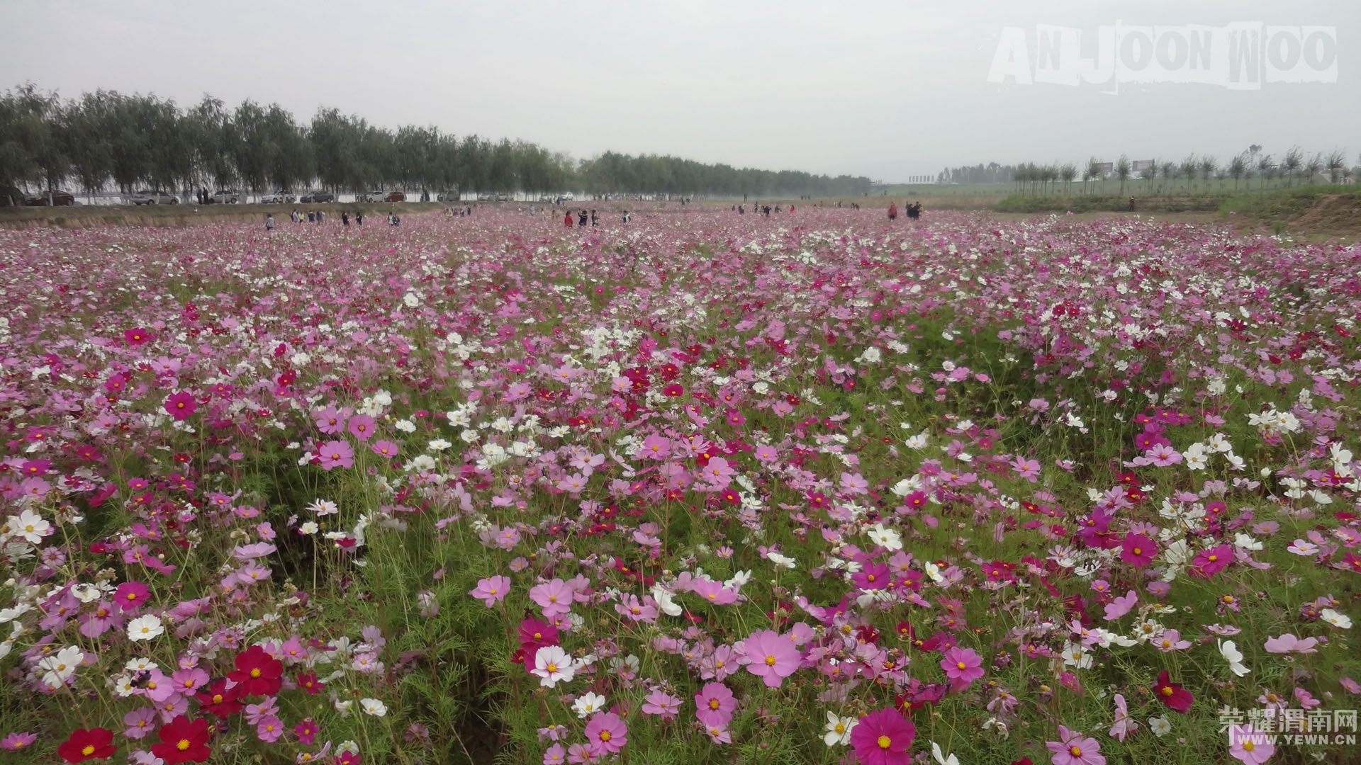 ��ɣ����