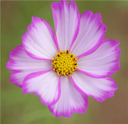 IMGP0013_���� - ����.jpg