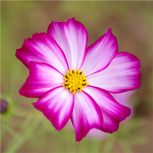 IMGP0015_���� - ����.jpg