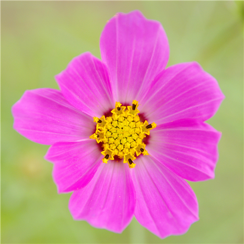 IMGP0016_���� - ����.jpg