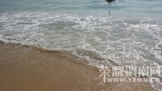 195502a2y9n27w2f42paap.jpg