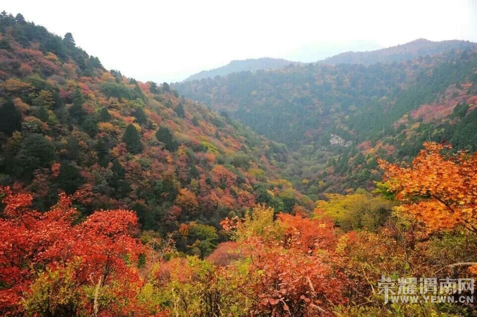 QQͼƬ20141020090902.jpg
