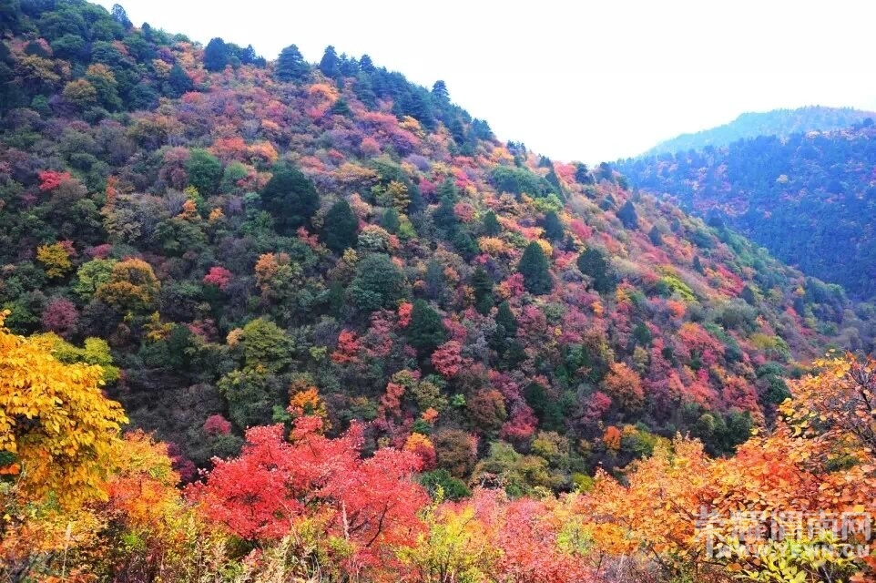 QQͼƬ20141020085508.jpg