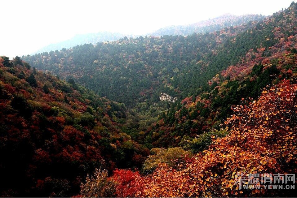 QQͼƬ20141020085521.jpg