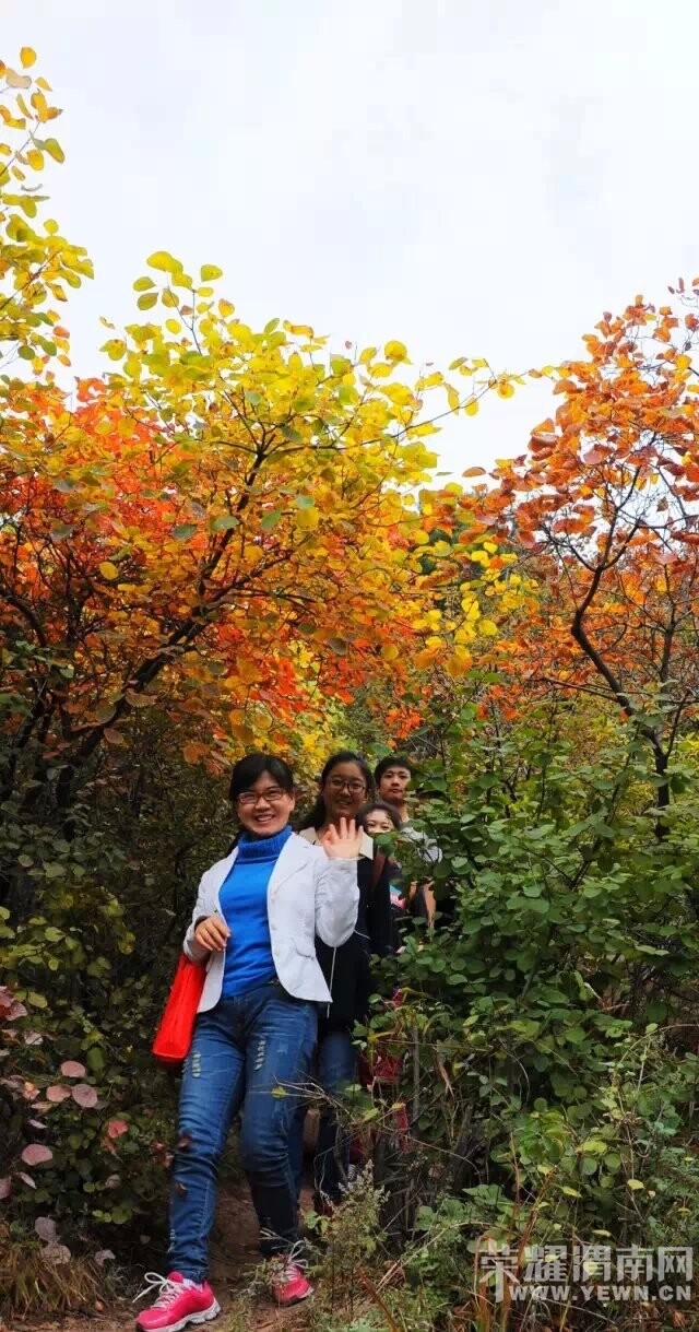 QQͼƬ20141020085513.jpg