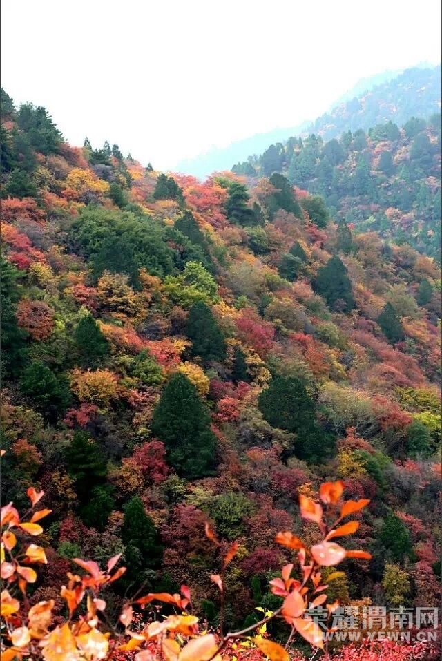 QQͼƬ20141020085531.jpg