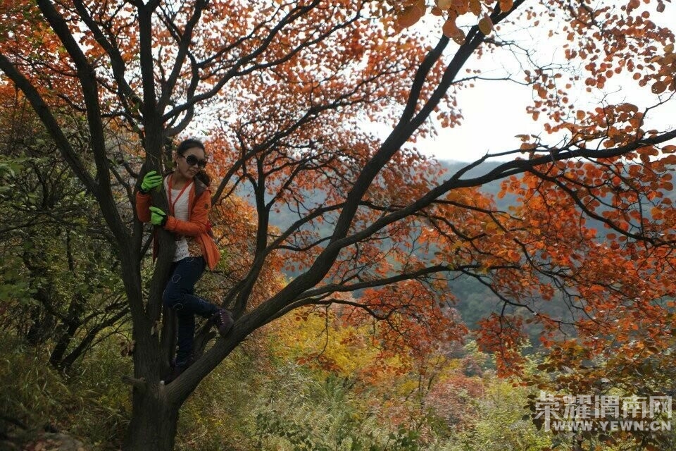QQͼƬ20141020085645.jpg