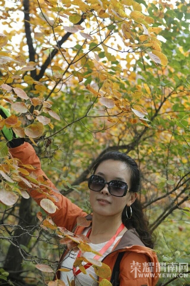 QQͼƬ20141020085724.jpg