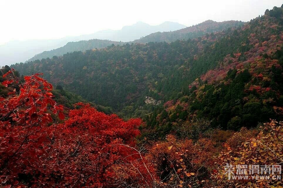 QQͼƬ20141020090851.jpg