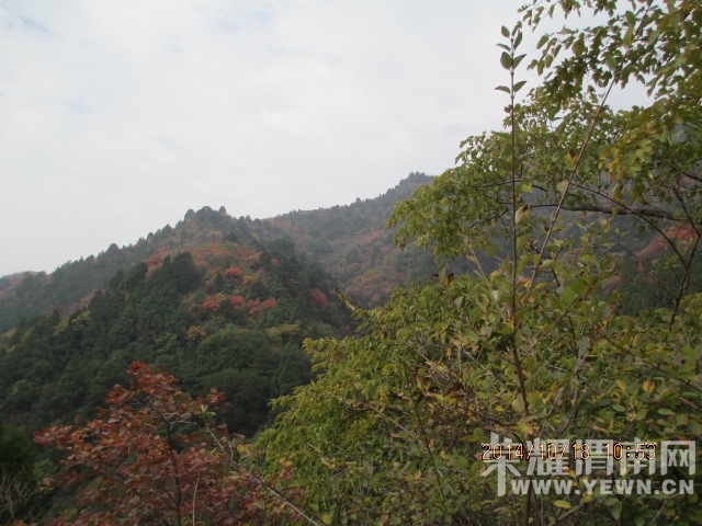 IMG_1694.JPG