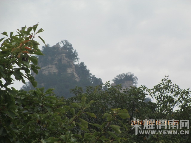IMG_1763.JPG