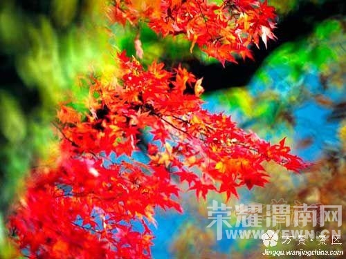 3_20101102091110_eg7ns.jpg