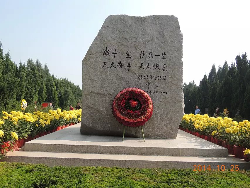 �������Ҳͬ����õ�廨Ȧ