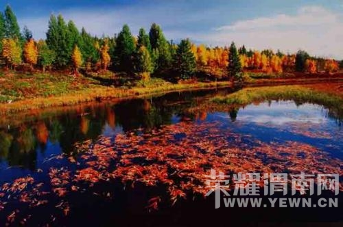 50_20131111161151_bk0qy.jpg