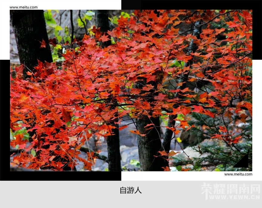 132209rzcbebix89l0j33c.jpg