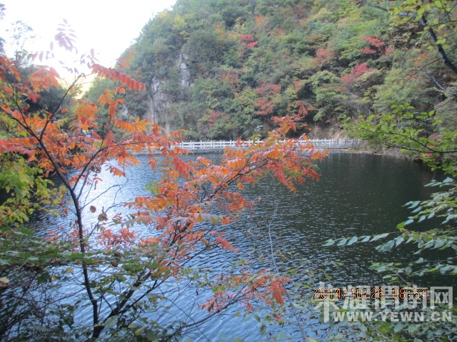 IMG_2172.JPG