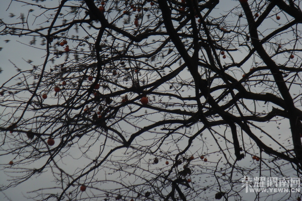 231112nw1z7qbvto0cjcov.jpg