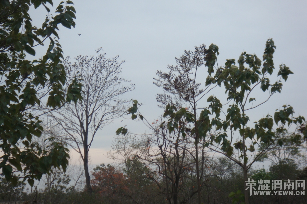 231147hh5554a5uh33hrb1.jpg