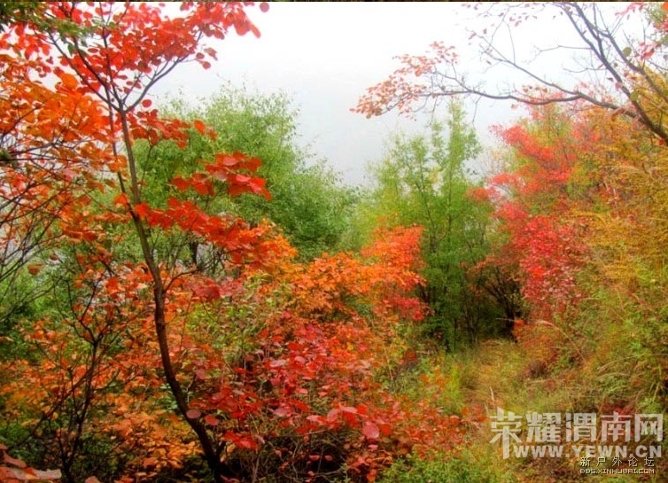 173432xt00mw0bixyqz040.jpg