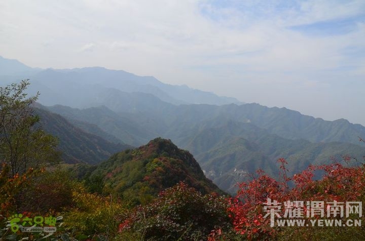 gallery_1350169078562.jpg