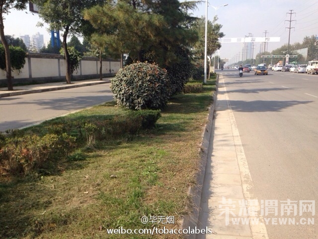 80abee96jw1em26f9w766j20hs0dctbu.jpg