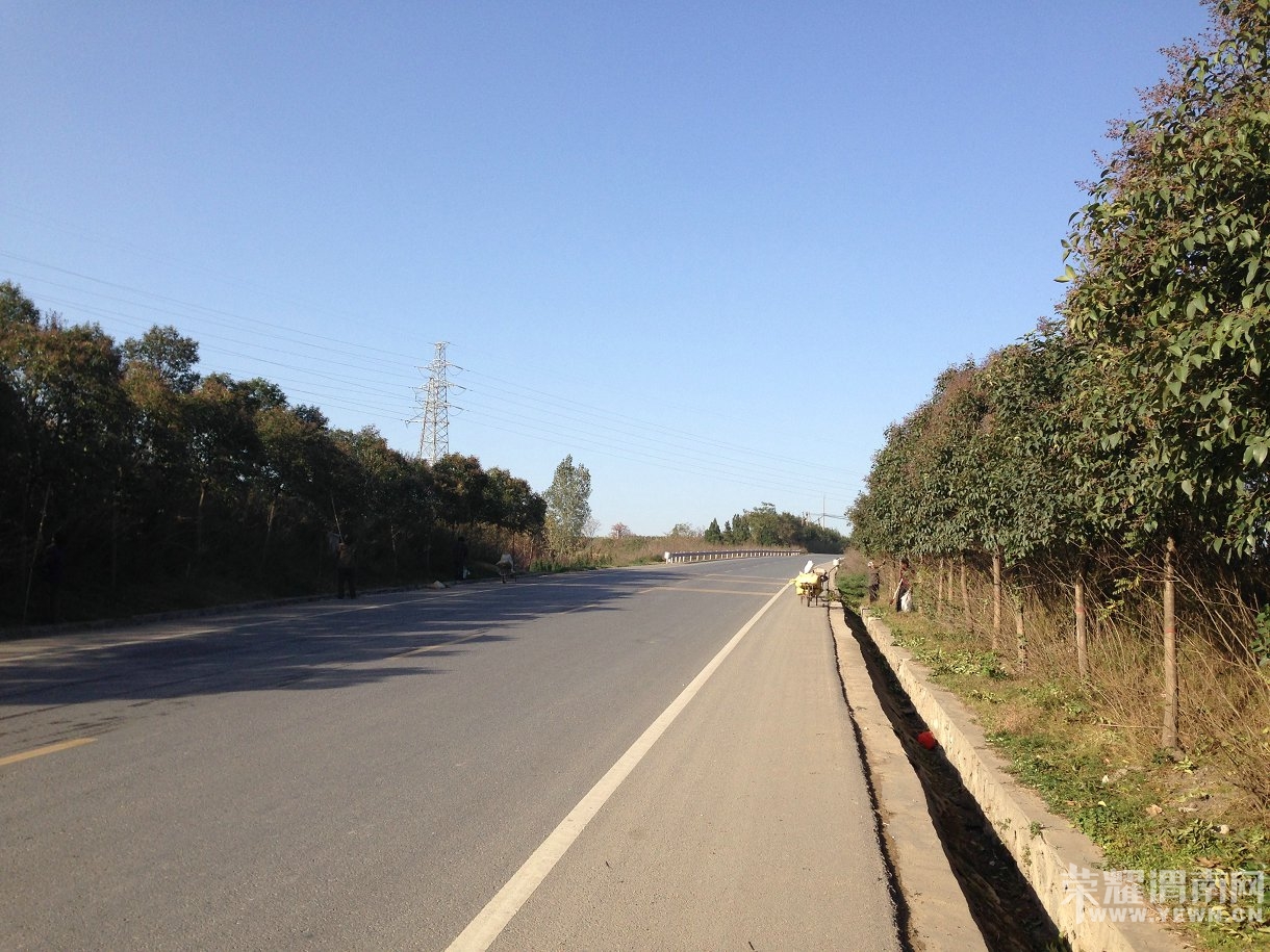 20141102_IMG_1361.JPG