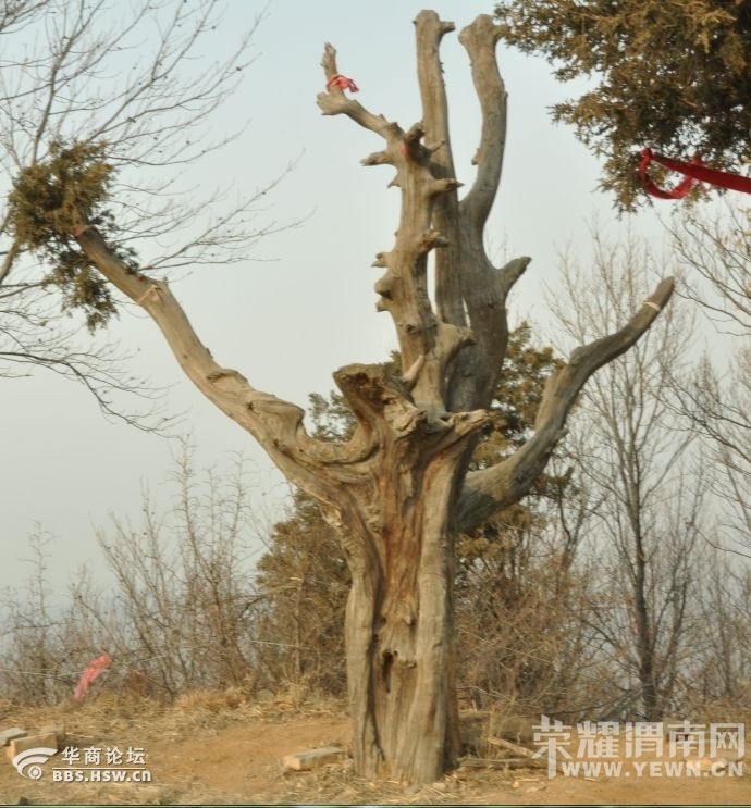 157_657937_c1ebc8100accdfa.jpg