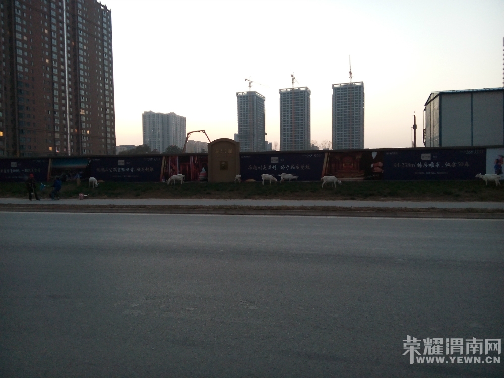 181531p05uas7oayqpa92y.jpg