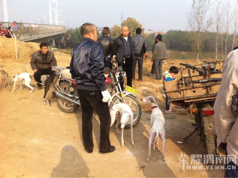 162723xxdr1xxycrriz4i1.jpg