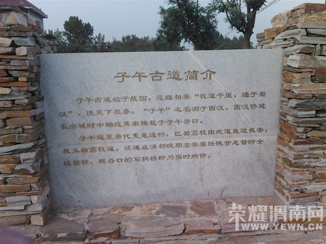 132456xn05tcmr6np25sjp.jpg