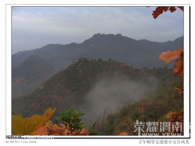 20091108_01de5cb3f7006d2c25248tcN5yt2bM2U.jpg