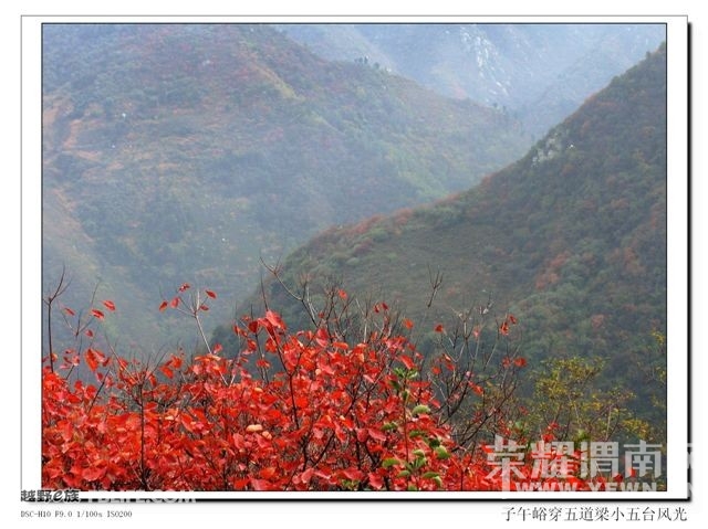 20091108_18ac8ae84a4fcdd56c8b83fl71OmM1G2.jpg