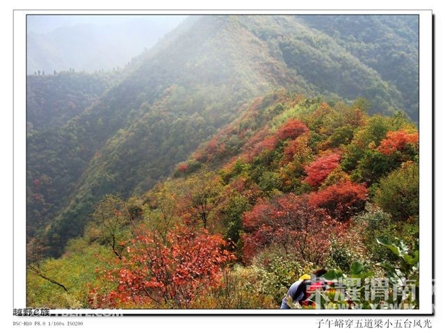 20091108_16c9592b93001b1258a7WERAKwKSLI8s.jpg