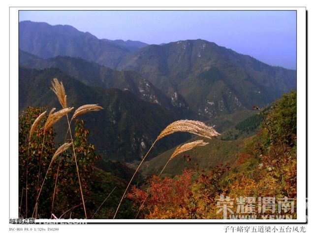 20091108_799b901862c1ebc67f9deHS0HhW0ZWW4.jpg
