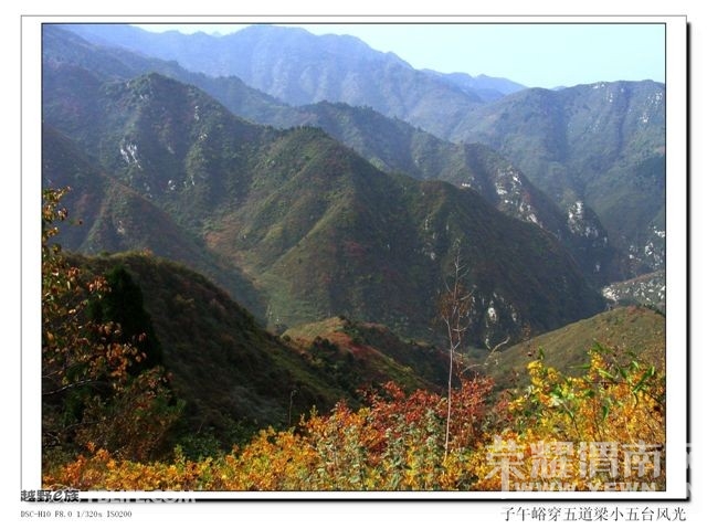 20091108_dbad72b61832b1c7aa93U6ZXAMAND0LA.jpg