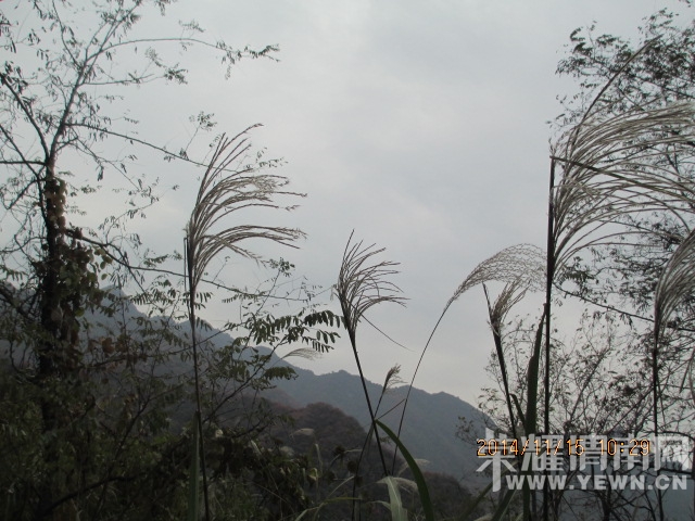 IMG_2865.JPG