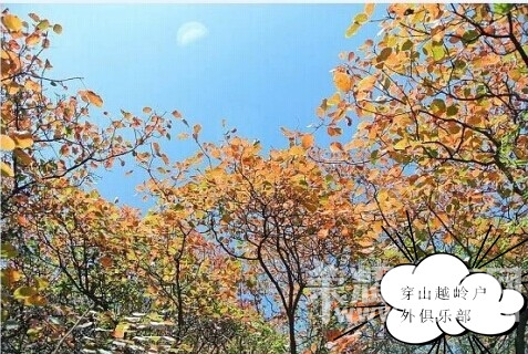 QQͼƬ20141117121606.jpg
