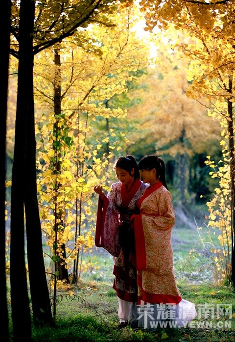 200736uk6sqq0r8ts30g3c.jpg