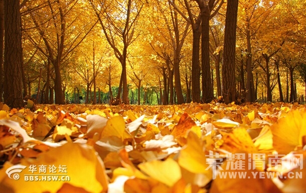 124_337932_8cd283998760dae.jpg
