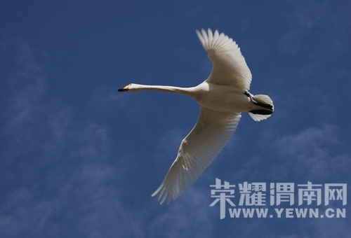 094454nfv3btl3lbbjtbbf.jpg