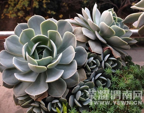 QQ��ͼ20141124105910.jpg