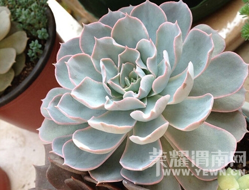 QQ��ͼ20141124105922.jpg