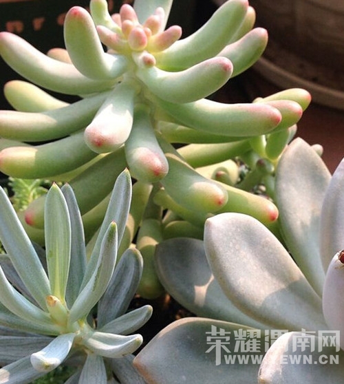 QQ��ͼ20141124105936.jpg
