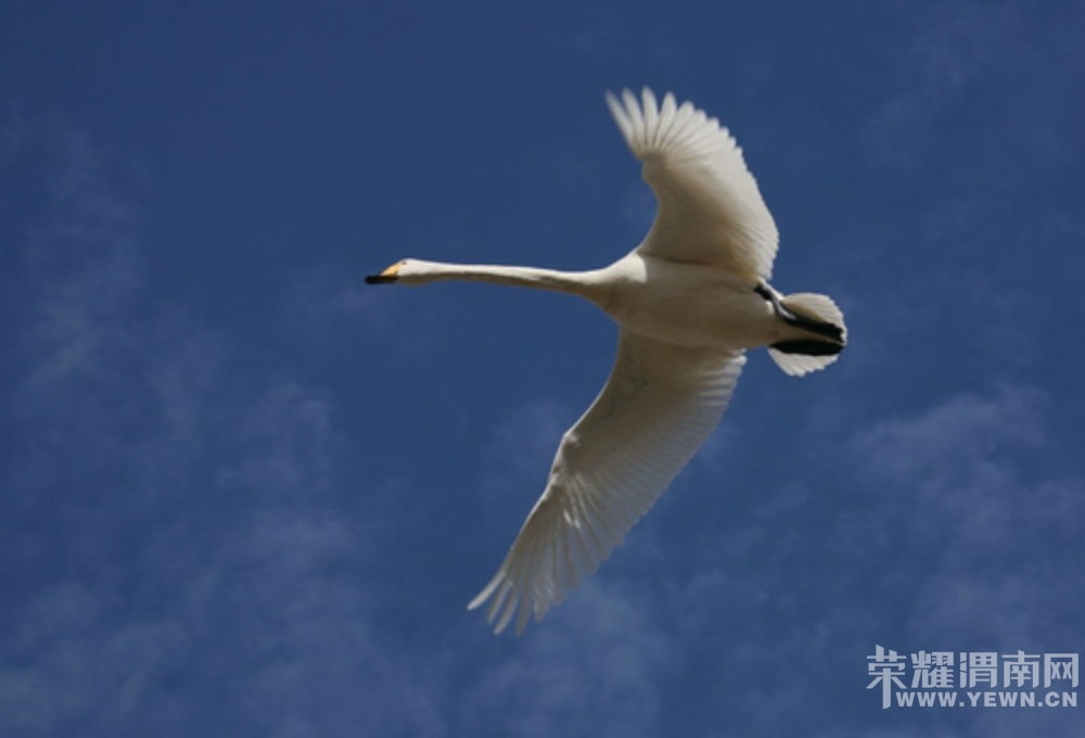 085028dx7l7ufjgjp7js0s.jpg