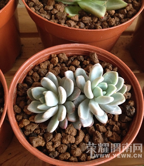 20141126_103054_001.jpg