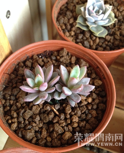 20141126_103054_004.jpg