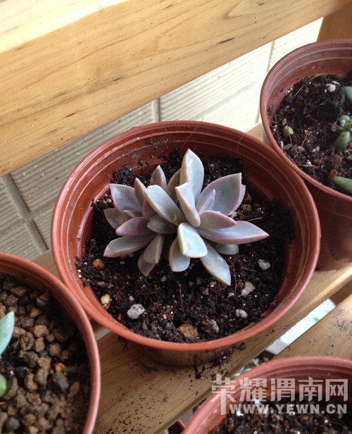 20141126_103054_005.jpg